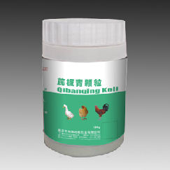 芪板青顆粒