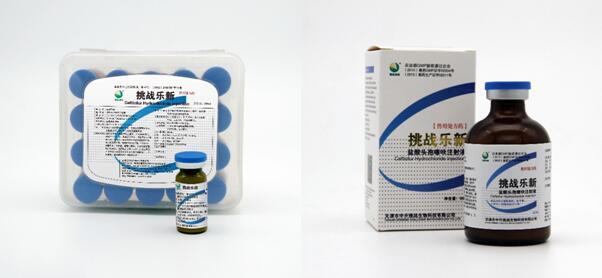 挑戰(zhàn)樂(lè)新